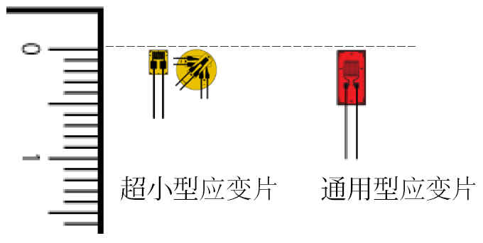 ag尊龙凯时中国官网 - 人生就得搏!